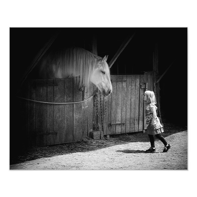 Foto Curiosidade Mútua (Frente)