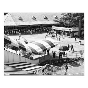 Foto Curso de raça de Saratoga