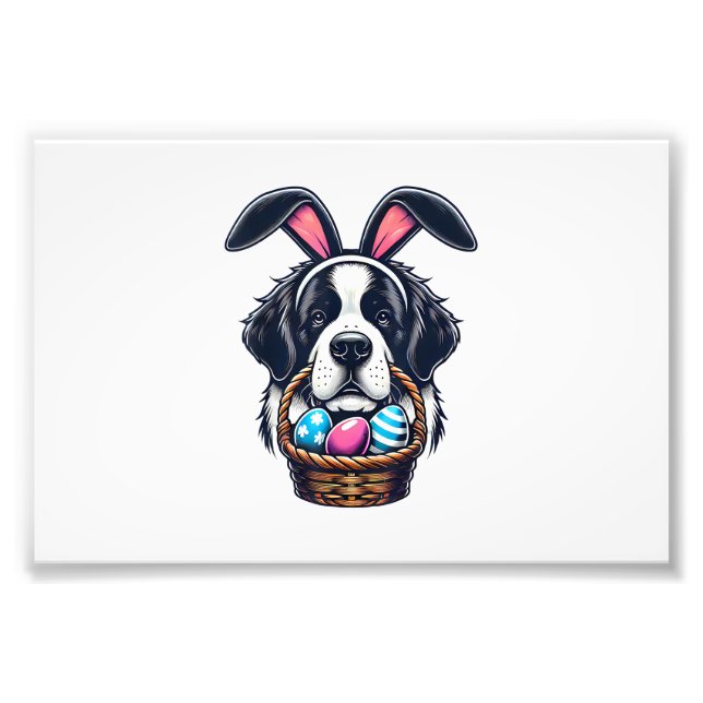 Foto Cute Bunny Ear Saint Bernard Dog Easter Egg Owner  (Frente)