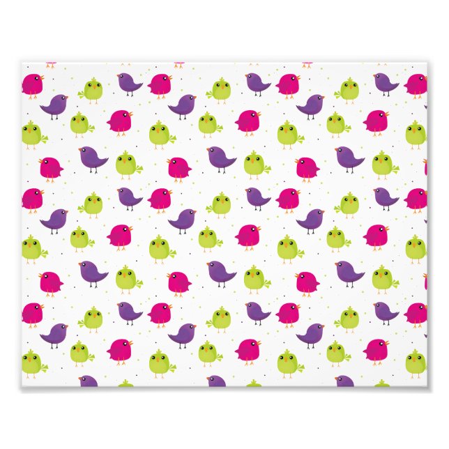 Foto Cute colorful birds  (Frente)