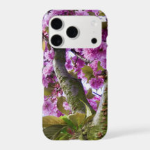 Foto da Coroa da Árvore Florindo Rosa de Verão -