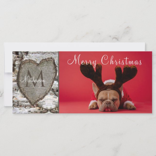 Foto da Família Coração do Latido de Nascimento da (Frente)