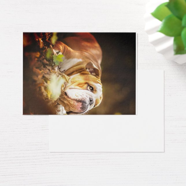 Foto da Floresta do Bulldog Inglês (Mesa)