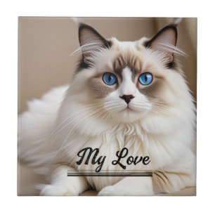 Foto da Mamãe do Gato ''Meu Amor'' Personalizar