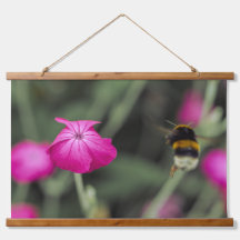 Foto da Natureza de Flor Silvestre Rosa sendo Poli