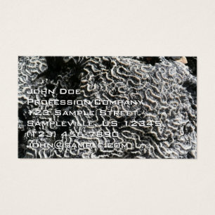 Foto da natureza do Abstrato Black and White Coral