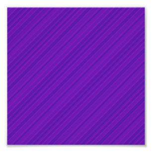 Foto da página do Scrapbook de 8" x 8"