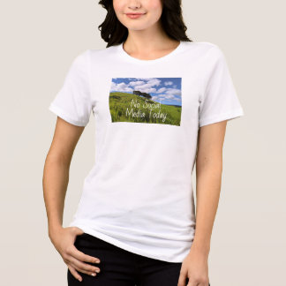 Foto da Paisagem Havaiana Sem Mídia Social Hoje