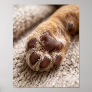 Foto da Pata Personalizada 8 por 10 Poster de Retr