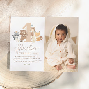 Foto da Primeira Festa de aniversário de Animais d