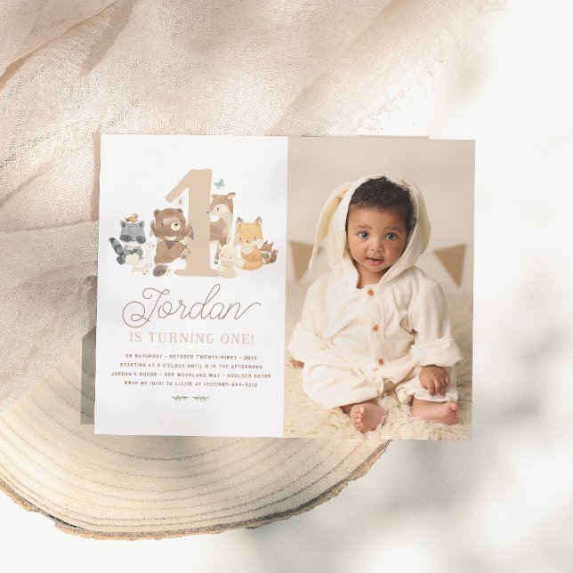 Foto da Primeira Festa de aniversário de Animais d (Criador carregado)