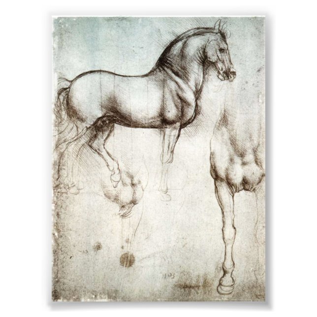 Foto Da Vinci Horse (Frente)