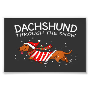 Foto Dachshund Através Da Neve Cachorro Engraçado Natal