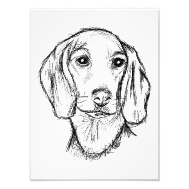 Foto dachshund hand drawn sketch black white puppy dog  (Frente)