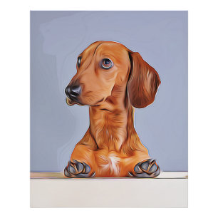 Foto Dachshund Olhando Para Longe O Cachorro Poster de
