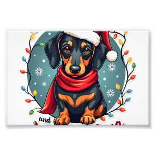 Foto Dachshund Papai Noel Na Lista Travessa Dachshund C