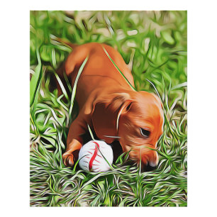 Foto Dachshund Puppy Poa Em Grama Com Bola Xmas Pos