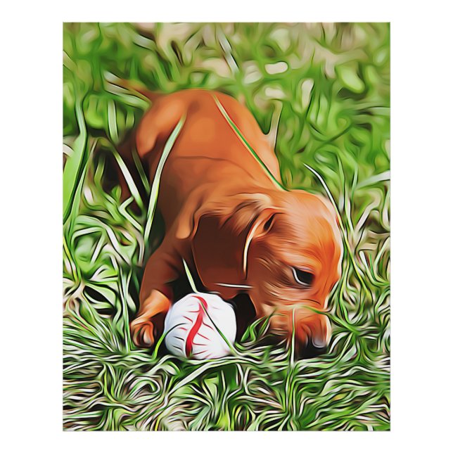 Foto Dachshund Puppy Poa Em Grama Com Bola Xmas Pos (Frente)