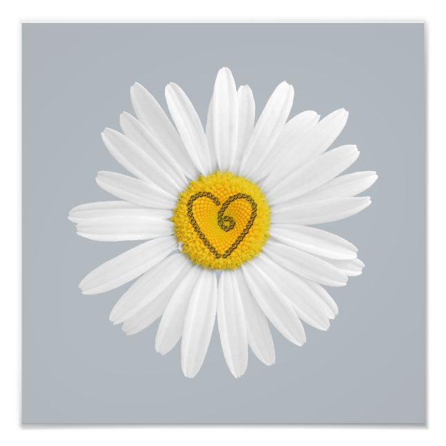 Foto Daisy Flower Love Art Personaliza o fundo (Frente)