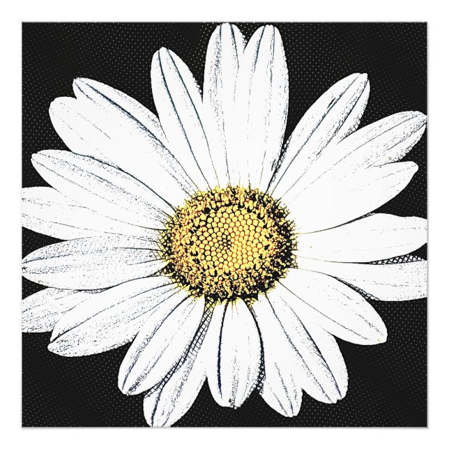 Foto Daisy Mae (Frente)