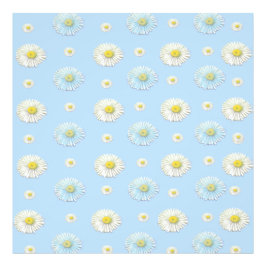 Foto Daisy Pattern sobre fundo azul claro