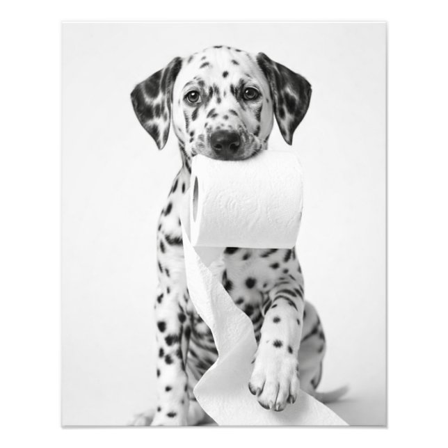 Foto Dálmata Cachorrinho Engraçado Segurando Papel Higi (Frente)