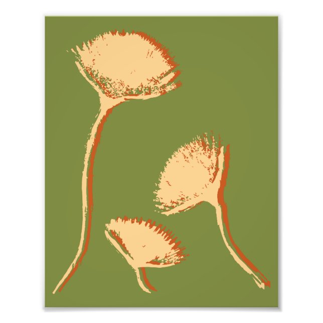 Foto Dandelion Pop (Frente)