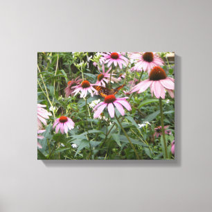 Foto de 14" x 11", Canvas com margaridas rosa