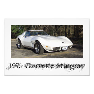 Foto de 1975 Corvette Stingray