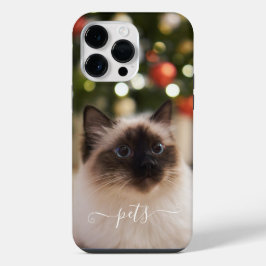 Foto de animais de estimação fofos para lembrar