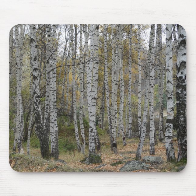 Foto de Birch Forrest no Mousepad (Frente)