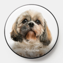 Foto de cachorro de estimação fofa personalizada