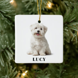 Foto de Cachorro Moderna | Enfeite de Natal