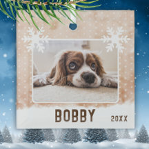 Foto de Cachorro Nome do Animal Floco de Neve Aqua