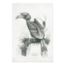 Foto de Cambodian Hornbill Bird por Vannak Prum