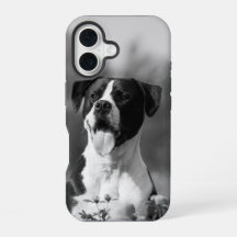Foto de Cão Preto e Branco Personalizável