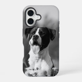 Foto de Cão Preto e Branco Personalizável