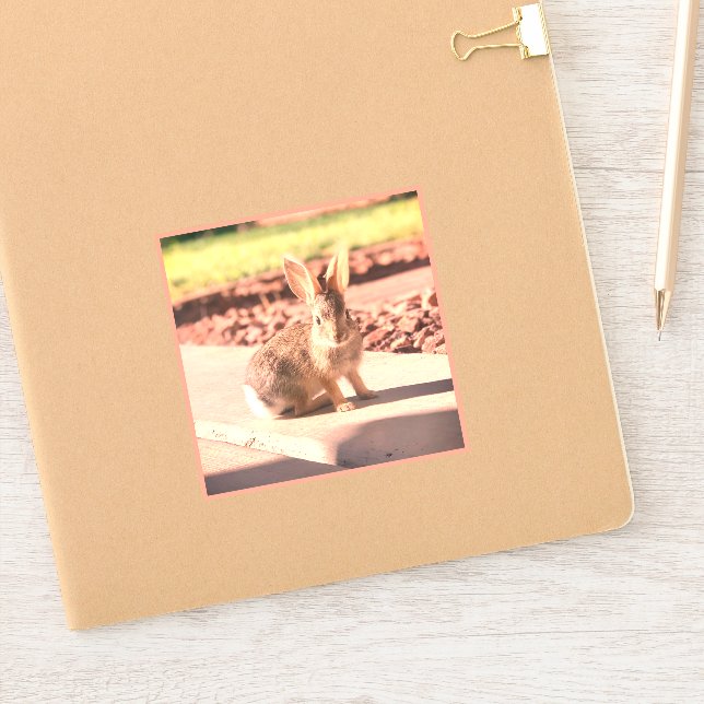foto de coelho Easter primavera Adesivo (Notebook)