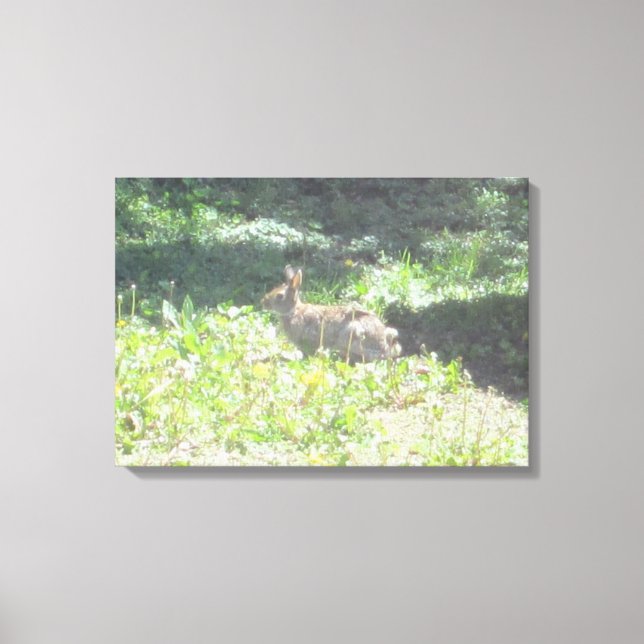 Foto de coelho selvagem na Canvas (Frente)