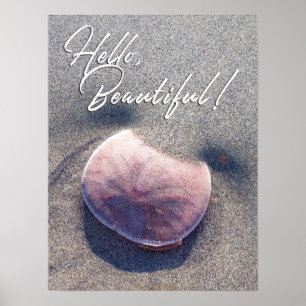 Foto de Dólar de Areia ao Vivo - Olá Poster