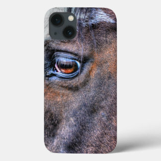 Foto de equídeo de pintura para amantes de cavalos