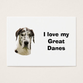 Foto de estimação Halequin Great Dane