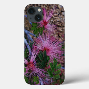 Foto De Fechamento De Flores De Duster De Fada Ros