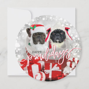 Foto de Feriado de Cachorro Feliz