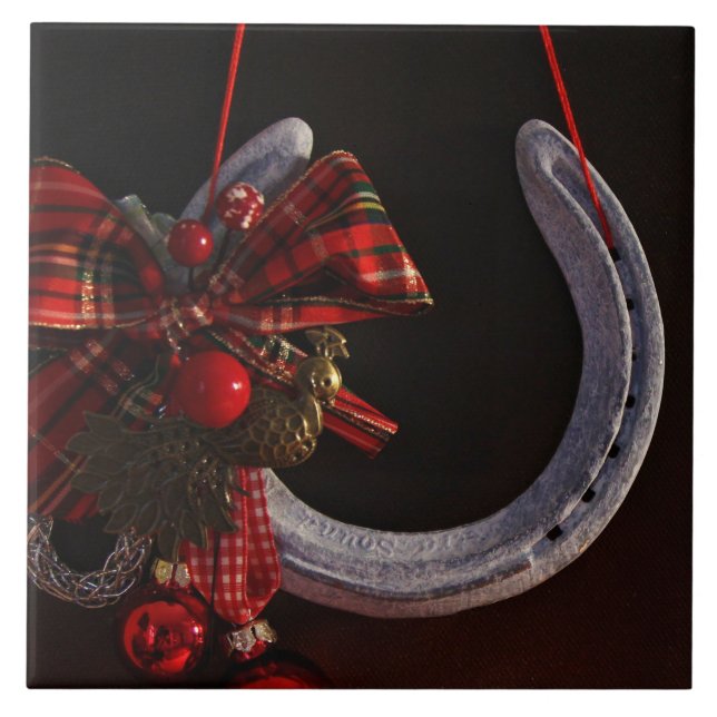 Foto de ferradura equestre (Frente)