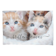 Foto de Gatinhos de Estimação da Sua Família Fofa