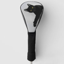 Foto de Gato Preto Cinto