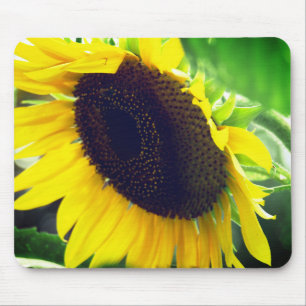 Foto de girassol impressa em um mousepad