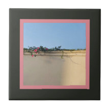 Foto de momento calmo