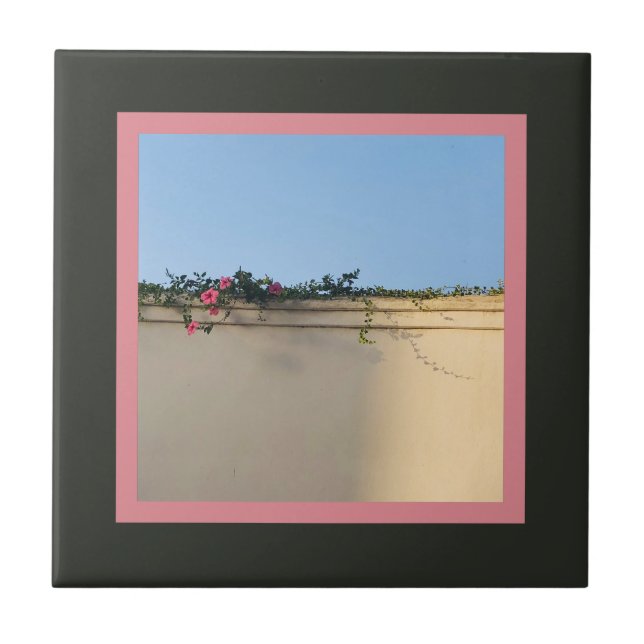 Foto de momento calmo (Frente)